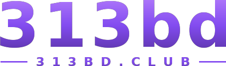 313bd logo
